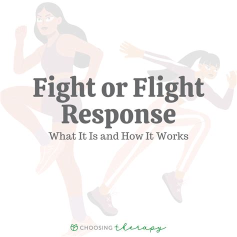 Fight or Flight 2025
